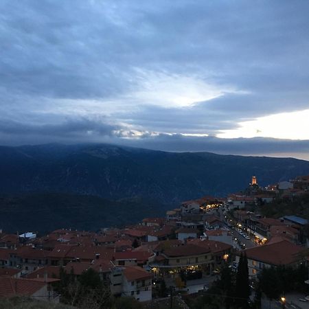 Plethora Arachova Luxury Chalet 외부 사진
