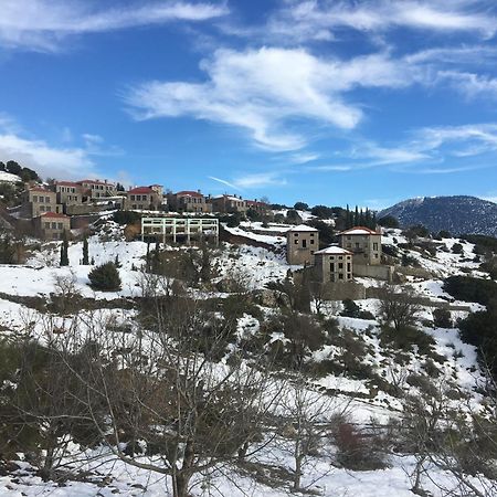 Plethora Arachova Luxury Chalet 외부 사진