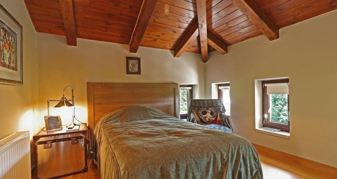 Plethora Arachova Luxury Chalet 외부 사진