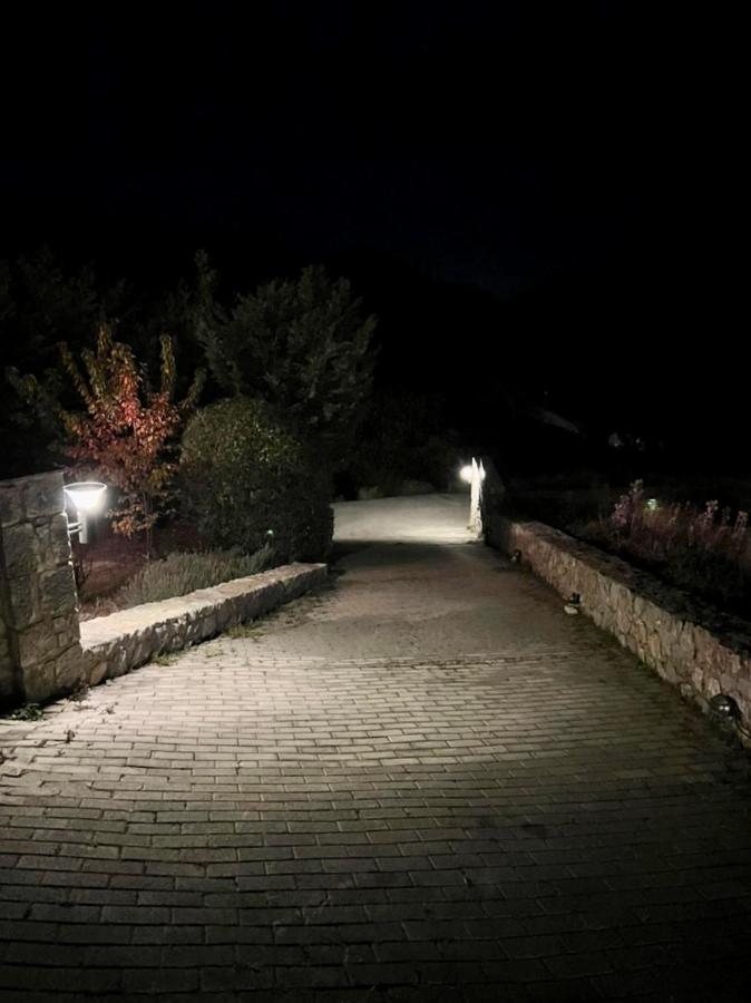 Plethora Arachova Luxury Chalet 외부 사진